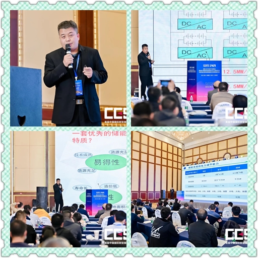 1642639903194272.jpg 儲能大會(huì ) 配圖5.jpg
