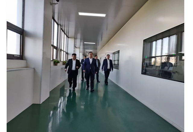 電力集團賈安剛到新風(fēng)光調研